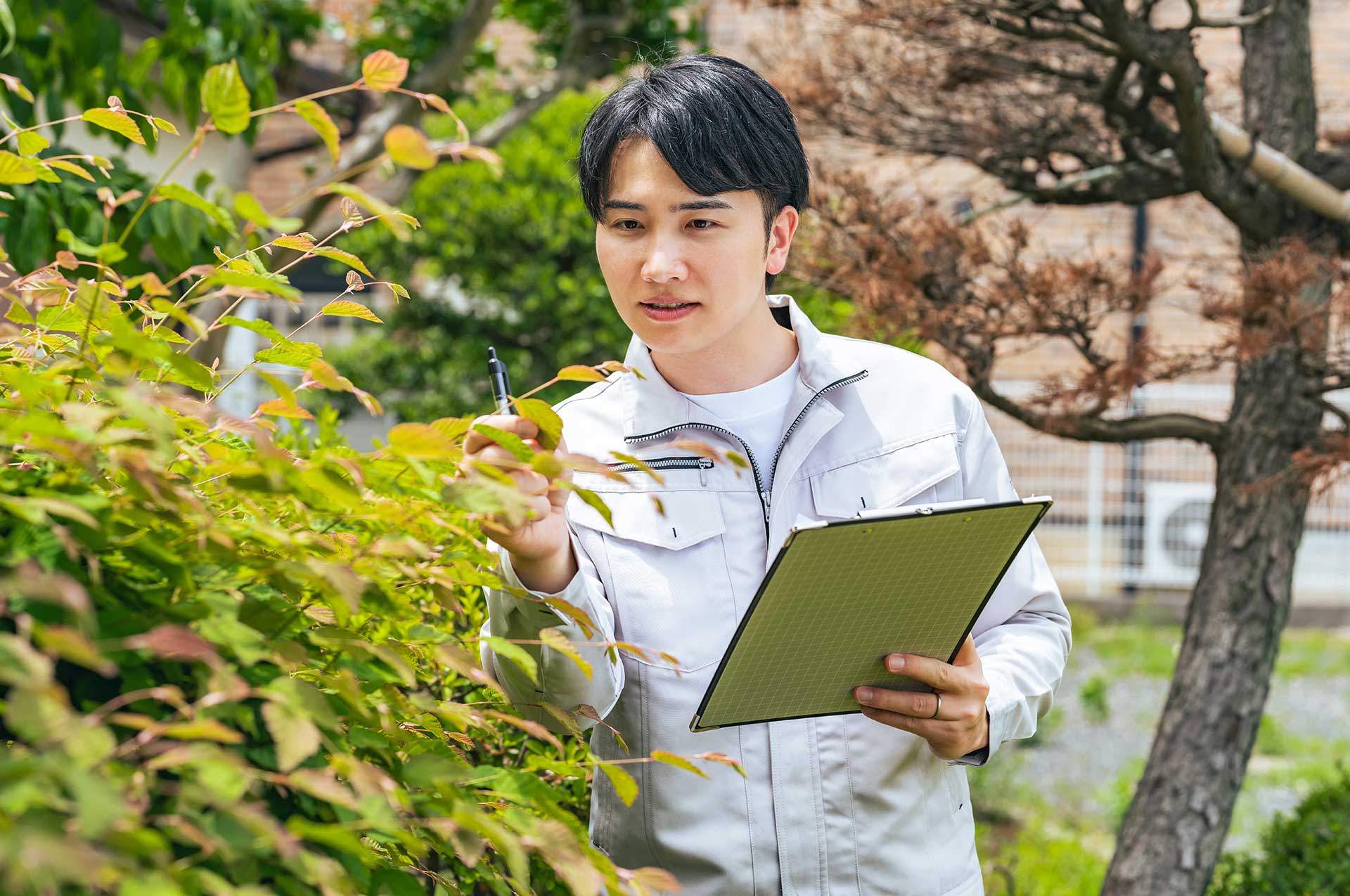 害虫駆除サービス